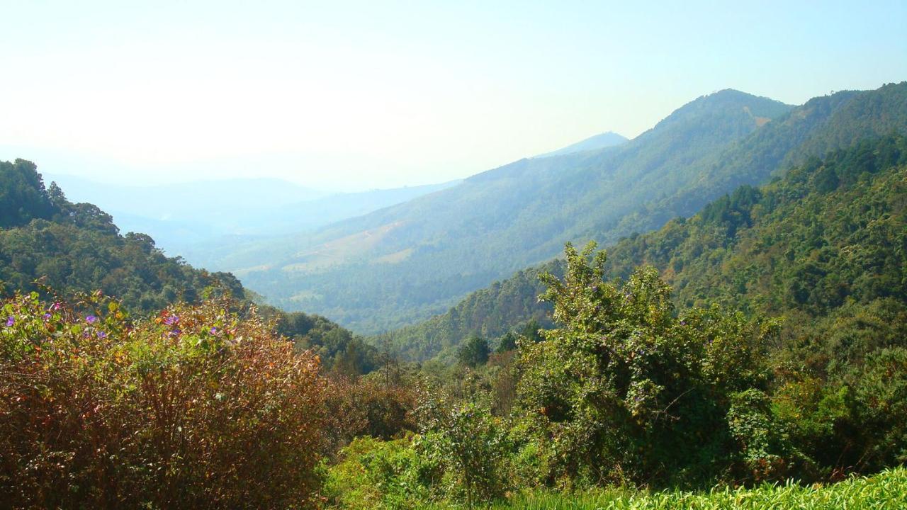 Magoebaskloof Hotel Тзанеен Экстерьер фото